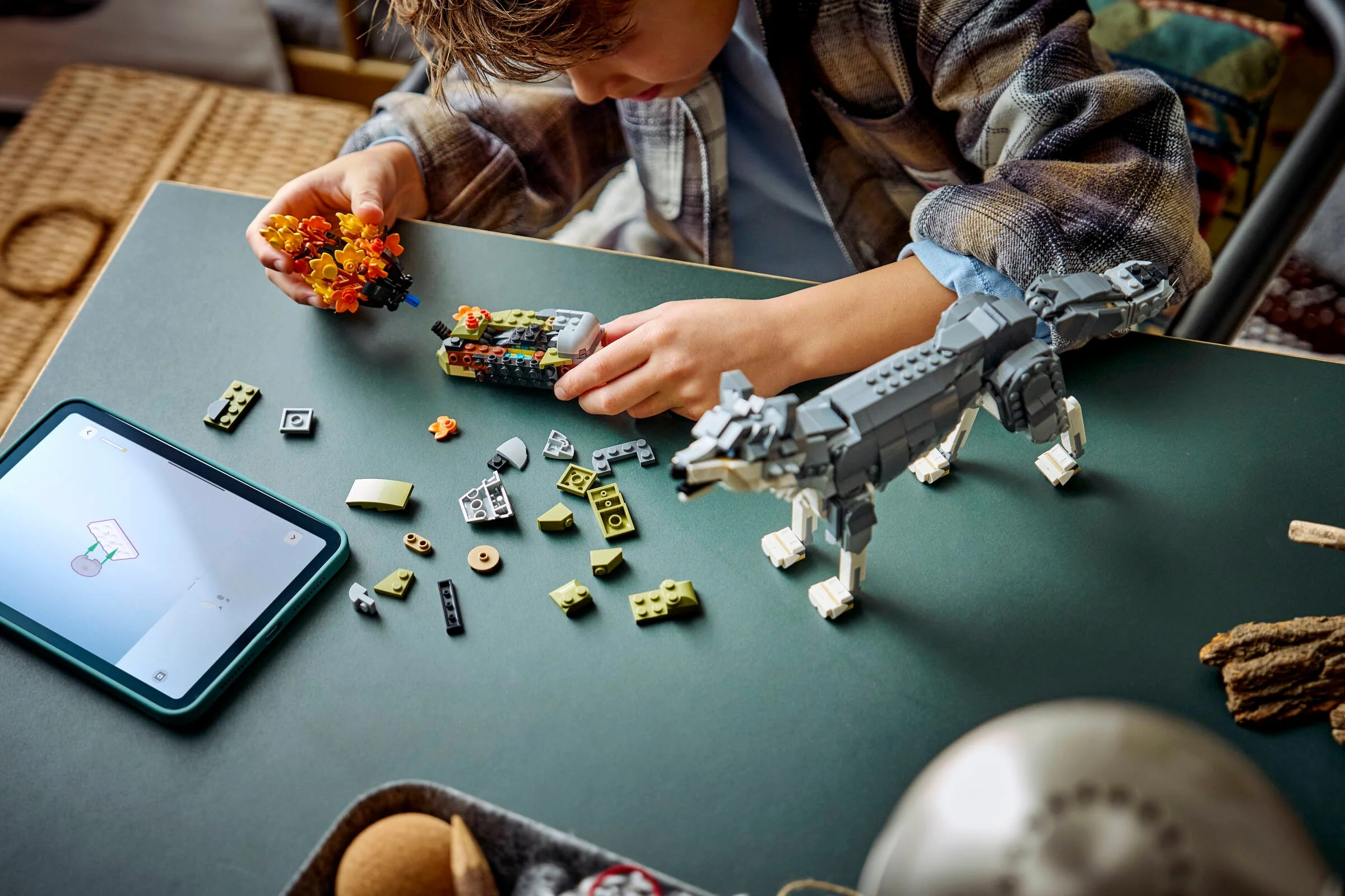 Copil construind lupul LEGO 31393, cu instrucțiuni pe tabletă. Distracție creativă!