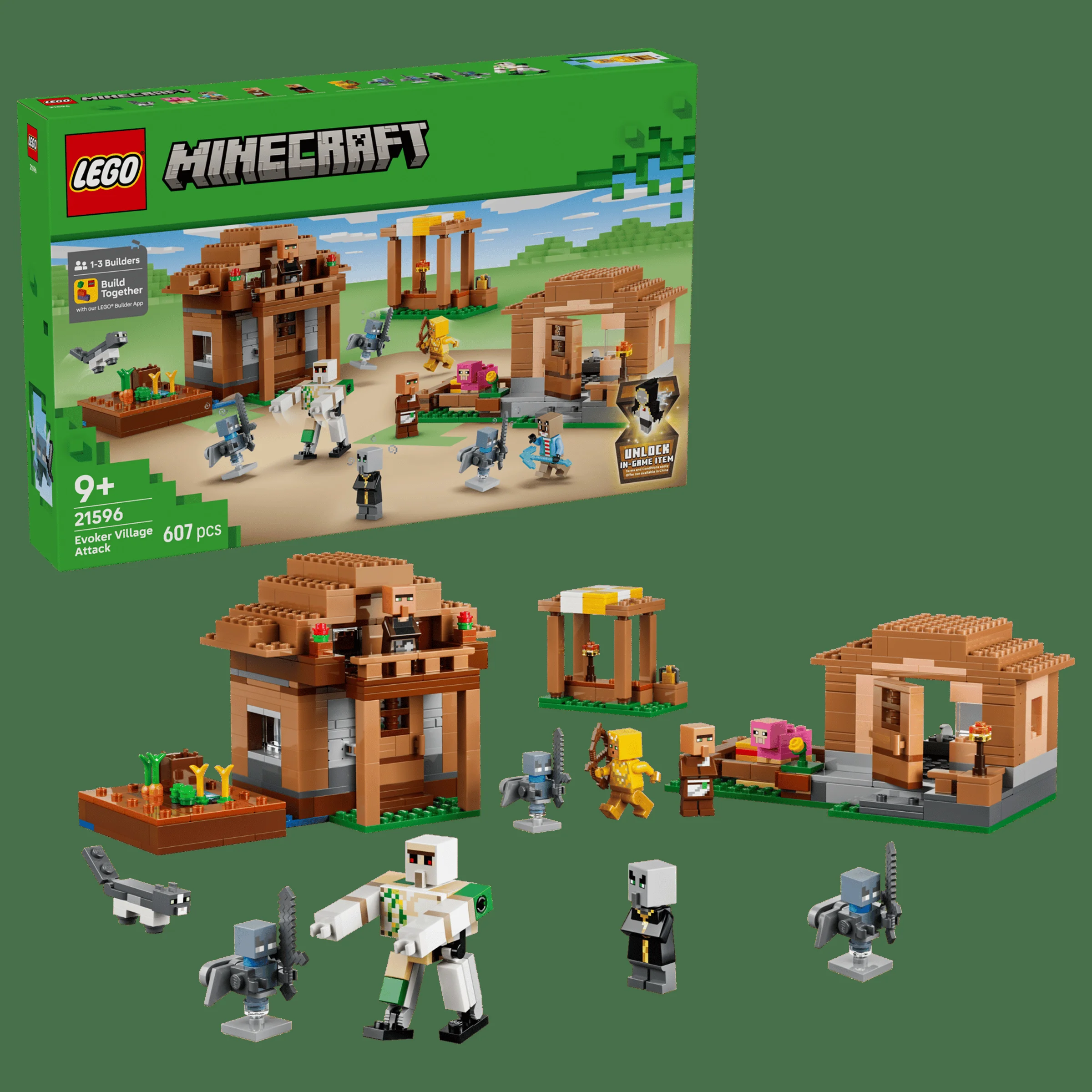 LEGO 21596