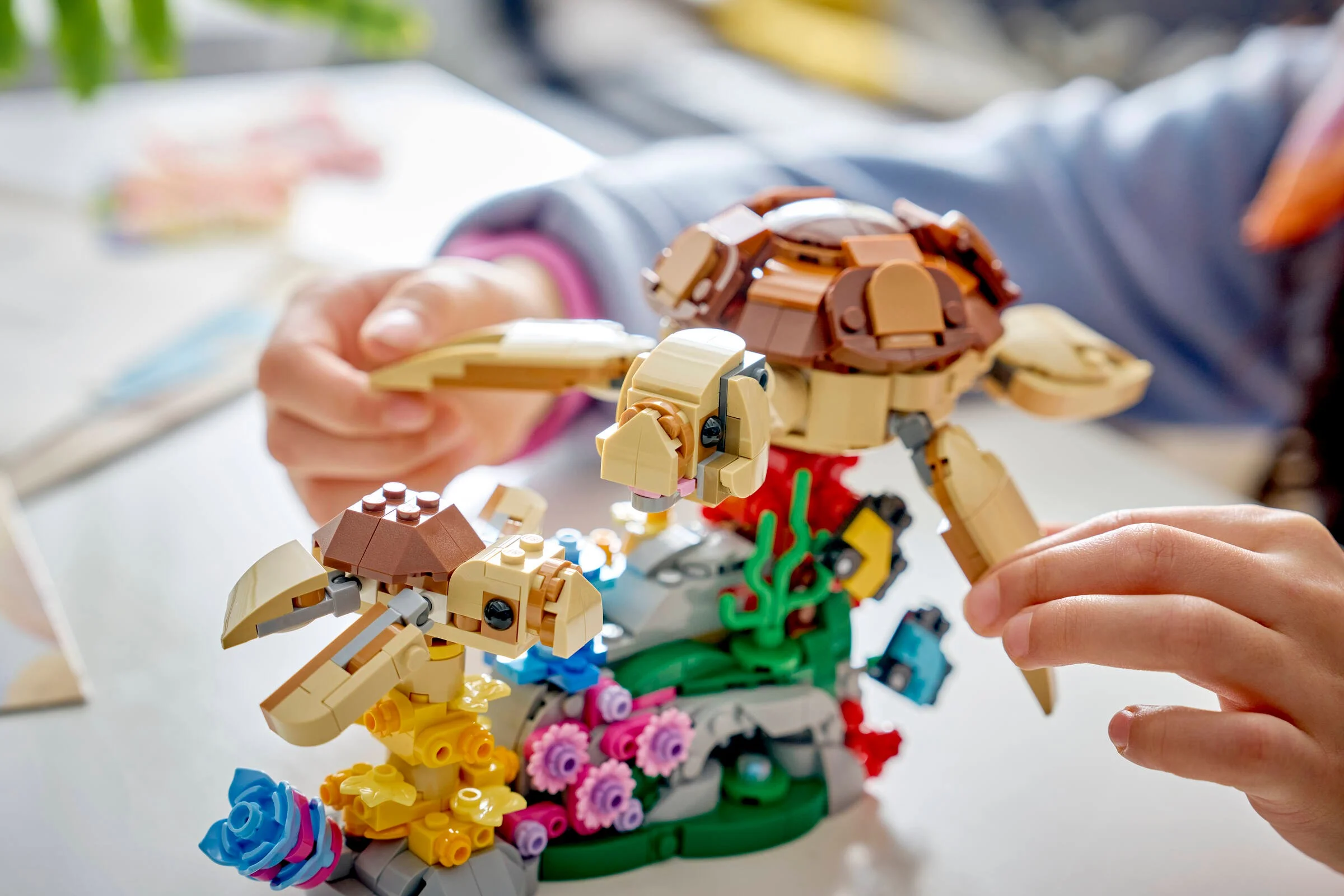 Imagine cu un copil construind o familie de koala LEGO Creator. Se văd koalele și detalii de construcție.
