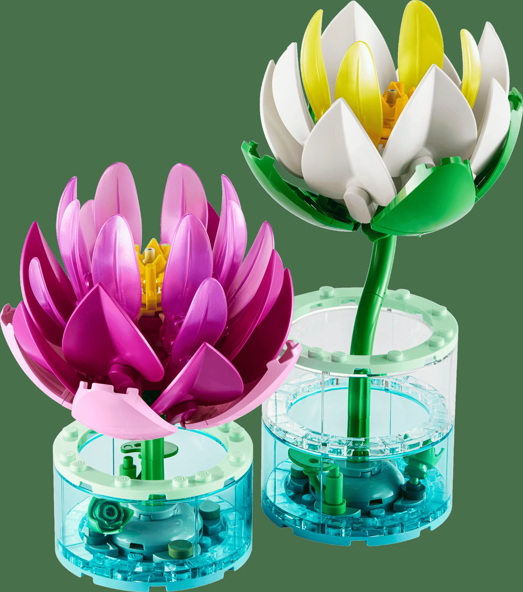 LEGO 11511 - Prezentare generală LEGO Botanicals 11511 Nuferi