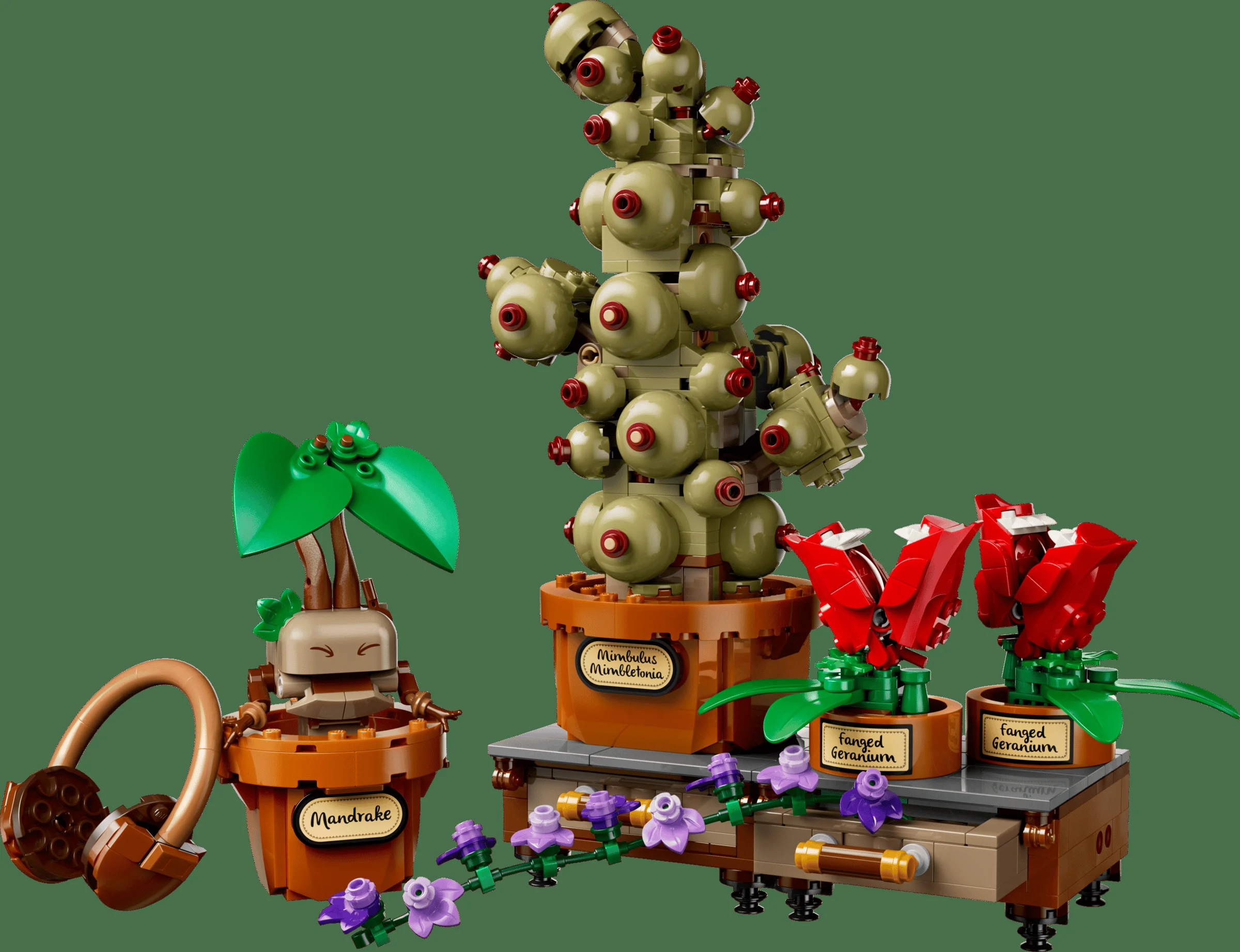 LEGO 76474 - LEGO Harry Potter 76474 Plantele de ierbologie de la Hogwarts: Prezentare Detaliată