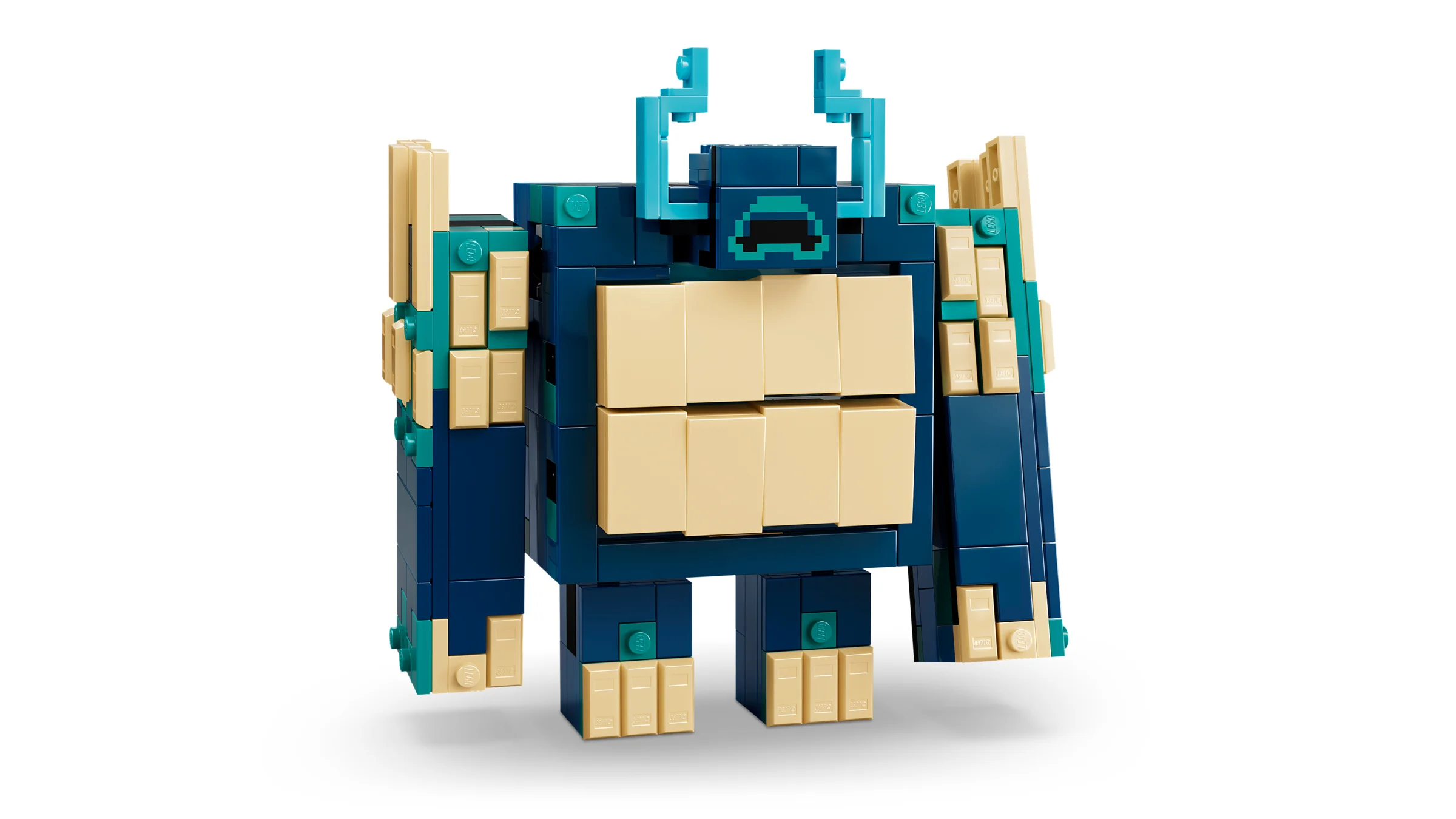 LEGO 21591