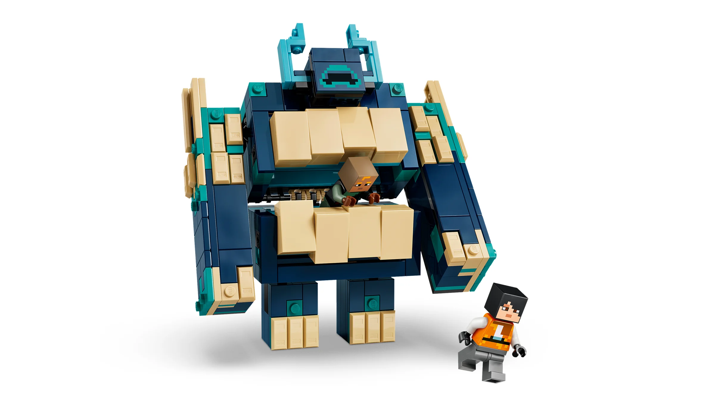 LEGO 21591