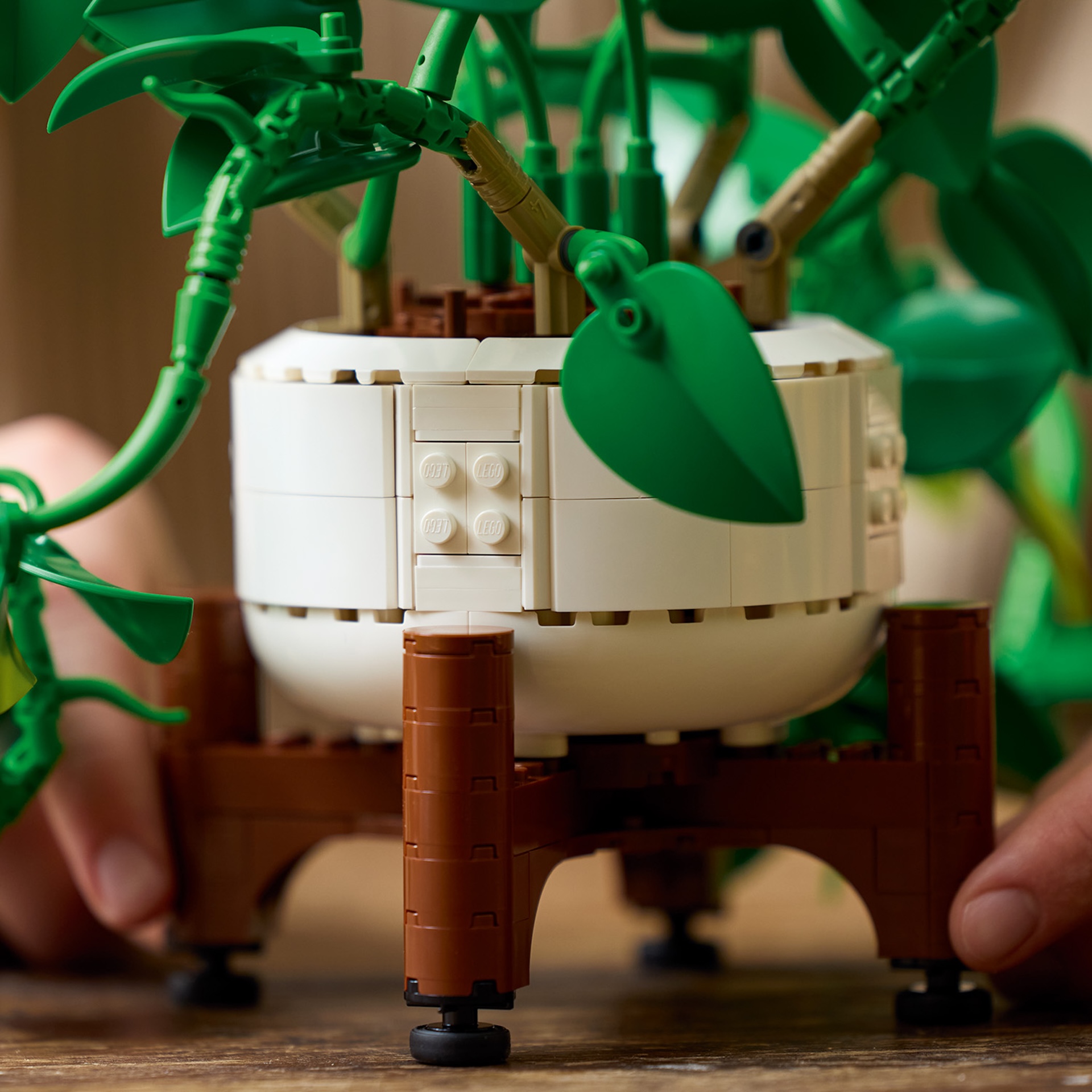 LEGO anunță extinderea colecției Botanicals: Noi detalii despre Hanging Golden Pothos și Dark Flower Arrangement